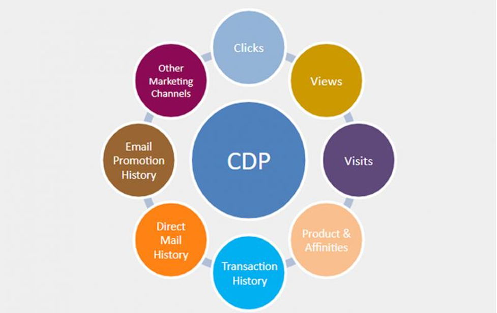 what CDP does